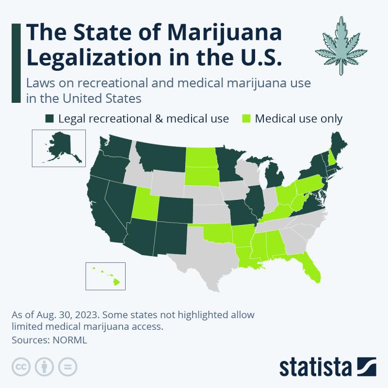 Infographic: The State of Marijuana Legalization in the U.S. | Statista