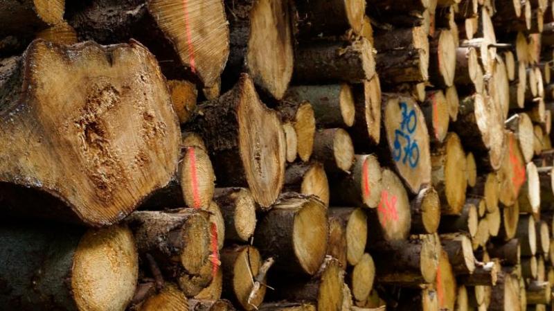 România acordă sprijin pentru iarnă R. Moldova. 130.000 de metri cubi de lemn de foc