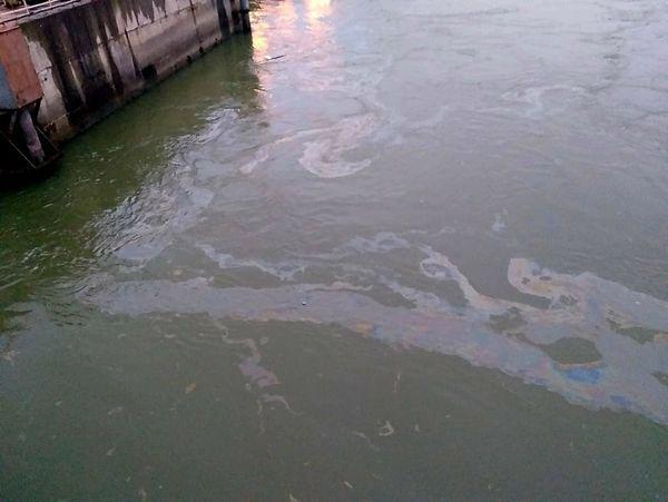 Alertă: Poluare cu petrol pe Dunăre pe o lungime de 6 km!