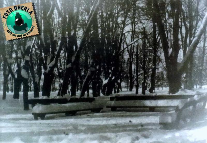 gherla iarna parc 1969